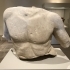 Fragmentary Marble Torso of a Man image