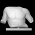 Fragmentary Marble Torso of a Man image