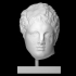 Marble Head of a Youth from a Relief image