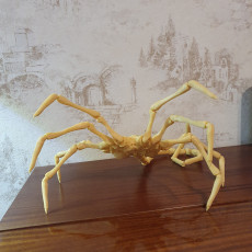 Picture of print of Alien Facehugger