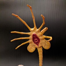 Picture of print of Alien Facehugger