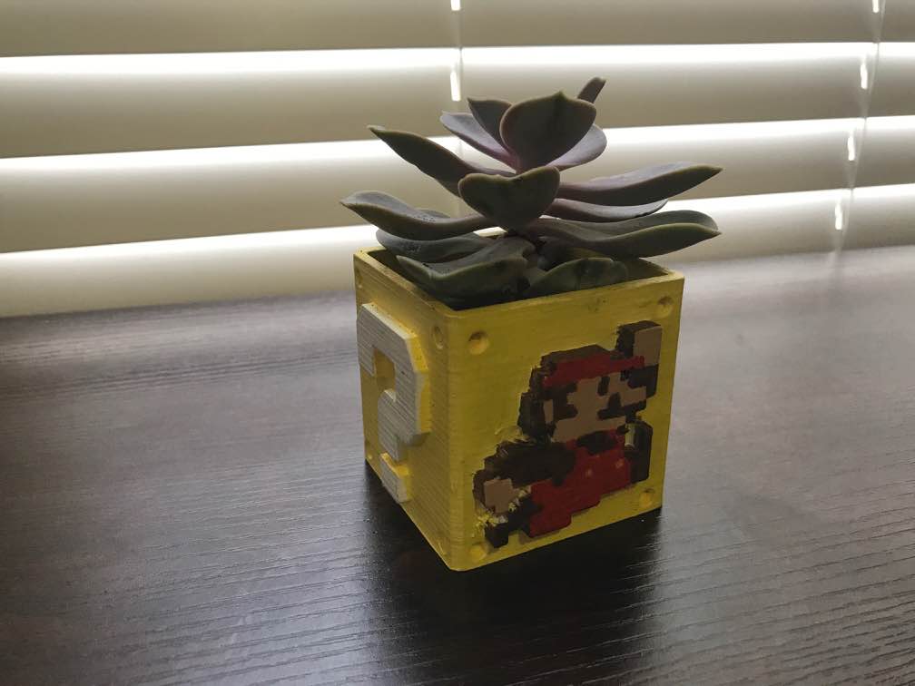 Mario Mystery Block Planter