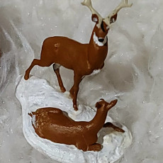 Picture of print of Deers