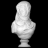 Fantasy Bust of a Veiled Woman (Marguerite Bellanger?) image