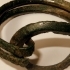 A Bronze Age Sussex Loop Bracelet image