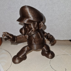 Picture of print of Mario
