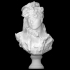 Bust of a Woman image