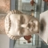 Head of the Emperor Titus image