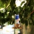 Red Bull Can Bird Feeder image