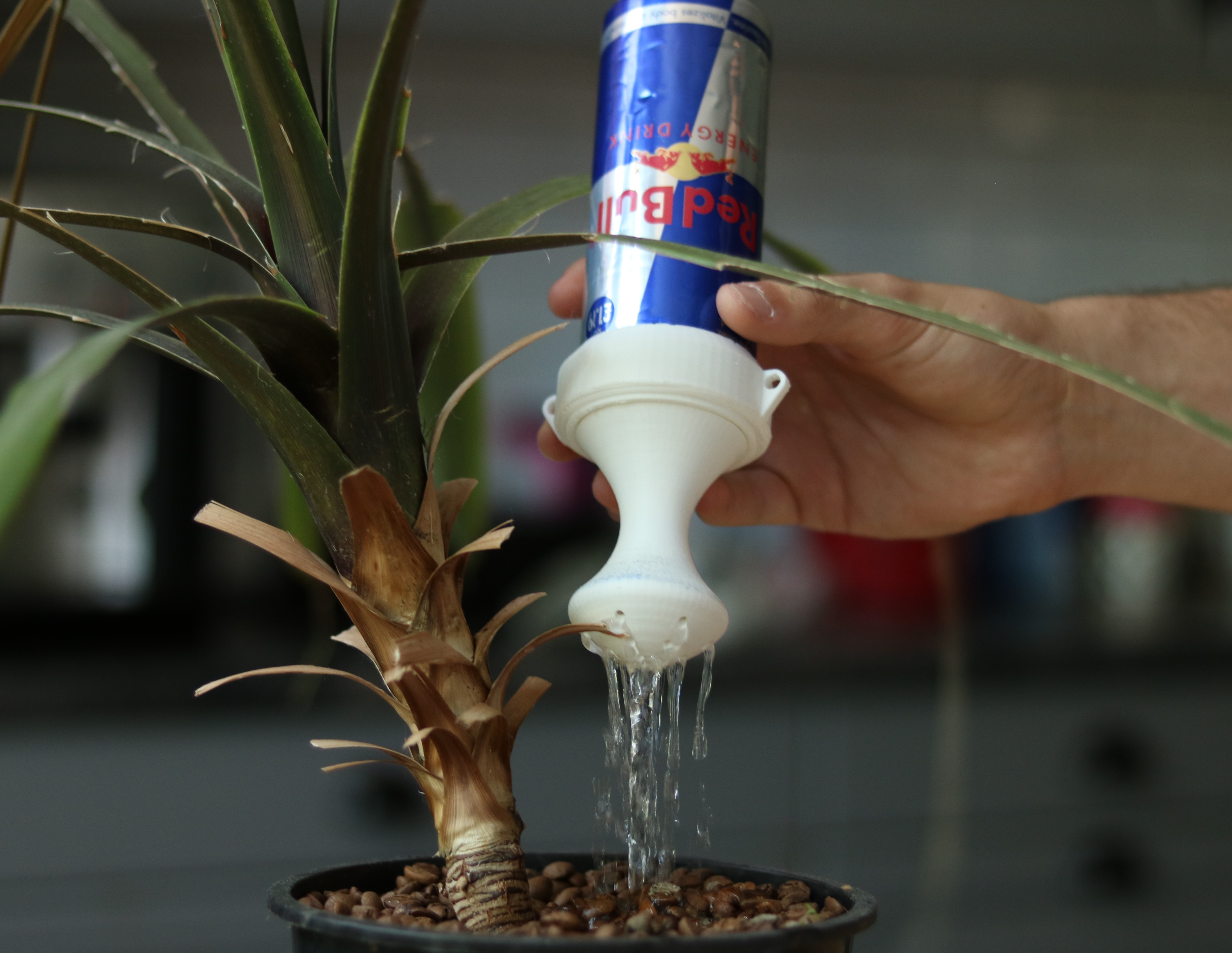 watering Red Bull can