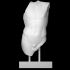 Marble torso of the so-called Apollo Lykeios image