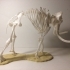 Woolly Mammoth Skeleton image