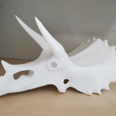 Picture of print of Triceratops prorsus Skeleton Questa stampa è stata caricata da Brent
