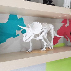 Picture of print of Triceratops prorsus Skeleton Questa stampa è stata caricata da Brent