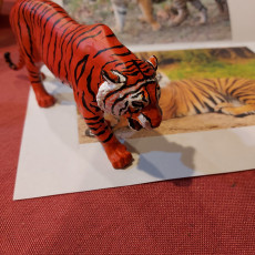 Picture of print of Mike the Tiger