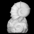 A "Winged" Ammonite image