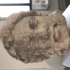 Marble head from a herm image