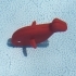 Pool-Fish image