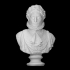 Bust of Napoleon image