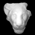 A Model in the Shape of a Lion's Head image