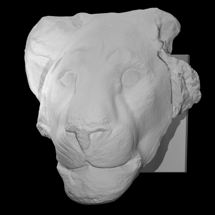A Model in the Shape of a Lion's Head