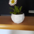 Flower Pot - Low Poly print image