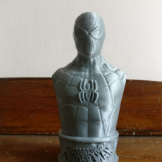 Picture of print of Vintage Spider-Man Bust This print has been uploaded by Kunj Patel