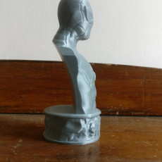 Picture of print of Vintage Spider-Man Bust This print has been uploaded by Kunj Patel