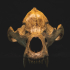 Skull of a cave bear print image