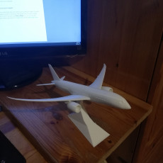Picture of print of Snap-Fit Passenger Airplane 787-8 This print has been uploaded by Yanislav Slavkov