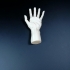 Hand Sculpture image