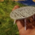 Voronoi poolside table image