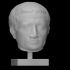 A fragmentary Roman marble portrait head of a man image