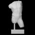 Greek marble male torso image