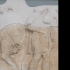 Parthenon Frieze _ North XXVII, 72 (completed from acropolis) image