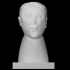 Head of a Woman image