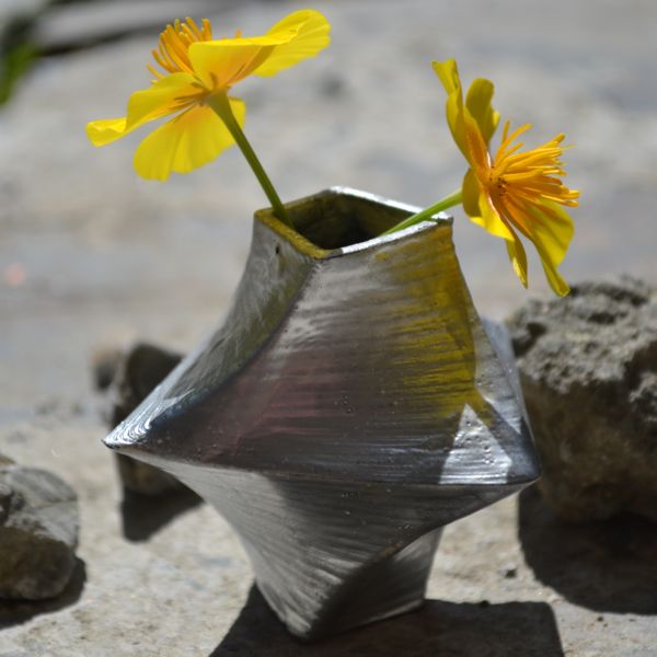 Warped and Twisted Vase