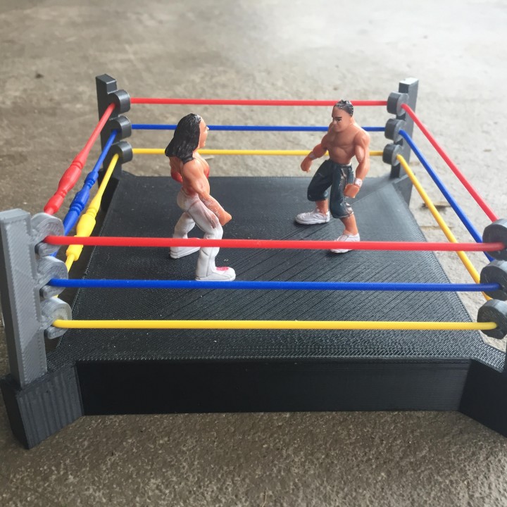 3D Printable Wrestling Ring by Todd Olsen