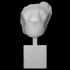 An Egyptian Granite Head of Sekhmet image