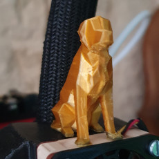 Picture of print of Low Poly Dog - Beto