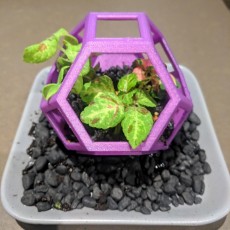 Picture of print of Plantygon - Modular Geometric Stacking Planter This print has been uploaded by Mark Micallef