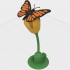 Butterfly, Animated image