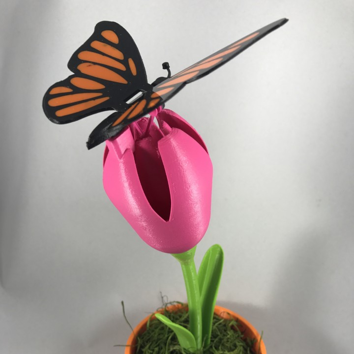 3D Printable Butterfly, Animated by Greg Zumwalt