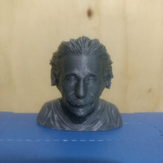 Picture of print of Albert Einstein Bust
