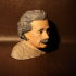 Albert Einstein Bust print image
