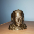 Albert Einstein Bust print image