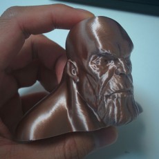 Picture of print of Thanos Bust