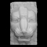 Relief of a lion head image