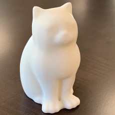 Picture of print of MakerBot Digitizer LaserCat - Layer thickness tests