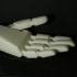 Passive Prosthetic Hand image